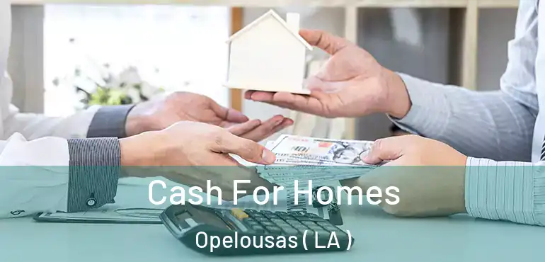  Cash For Homes Opelousas ( LA )