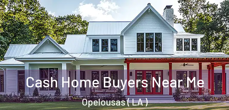  Cash Home Buyers Near Me Opelousas ( LA )