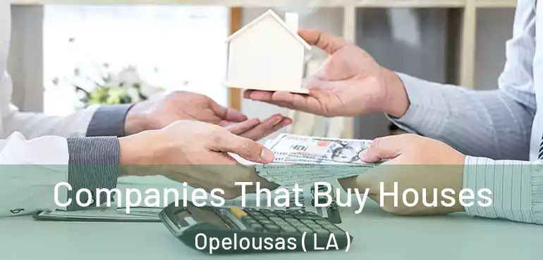  Companies That Buy Houses Opelousas ( LA )