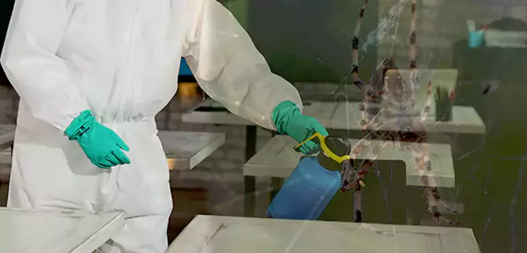 Why Buyers Still Want Homes With Pest Infestations in Louisiana, LA?