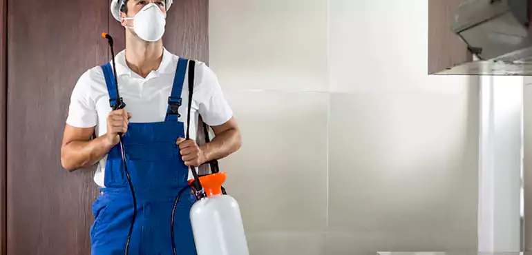 Why Louisiana Homeowners Choose Us When Pests Make Selling Difficult