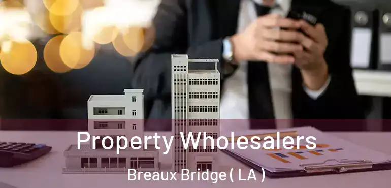  Property Wholesalers Breaux Bridge ( LA )