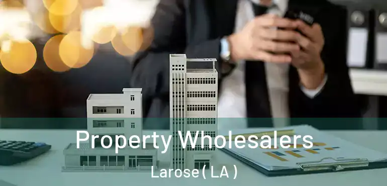  Property Wholesalers Larose ( LA )