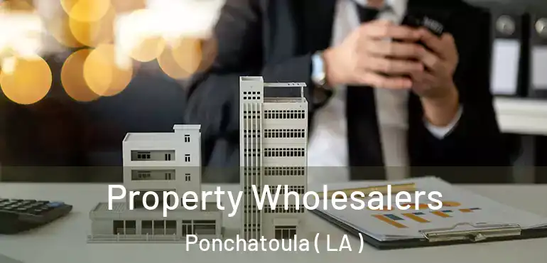  Property Wholesalers Ponchatoula ( LA )