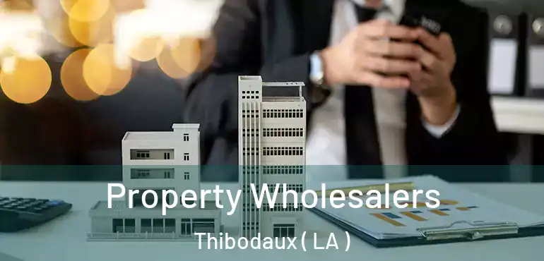  Property Wholesalers Thibodaux ( LA )