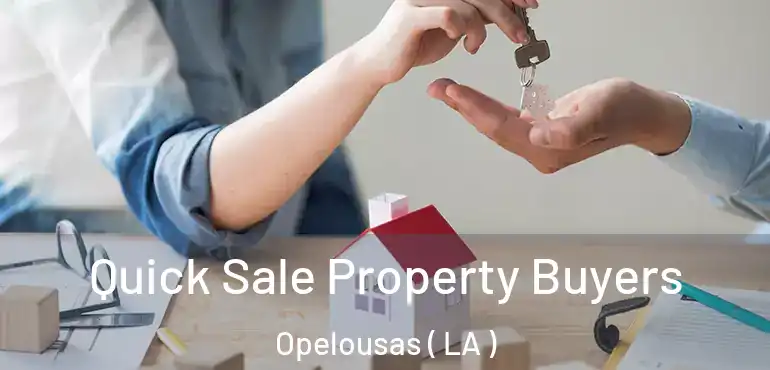  Quick Sale Property Buyers Opelousas ( LA )