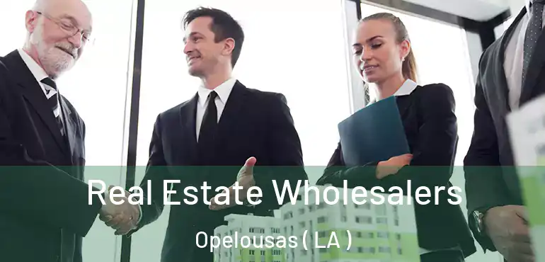  Real Estate Wholesalers Opelousas ( LA )