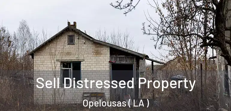  Sell Distressed Property Opelousas ( LA )