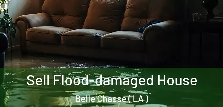  Sell Flood-damaged House Belle Chasse ( LA )