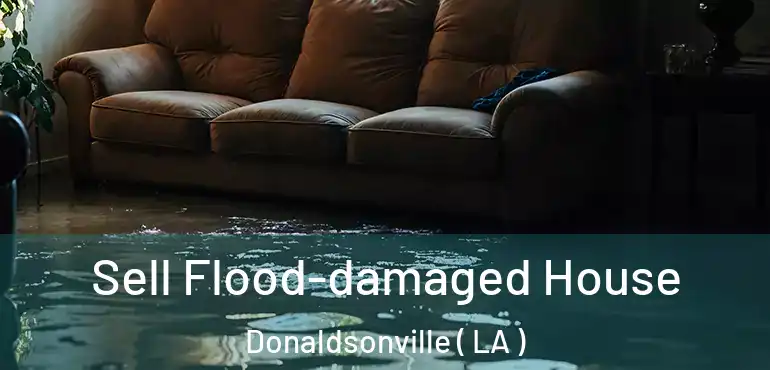  Sell Flood-damaged House Donaldsonville ( LA )