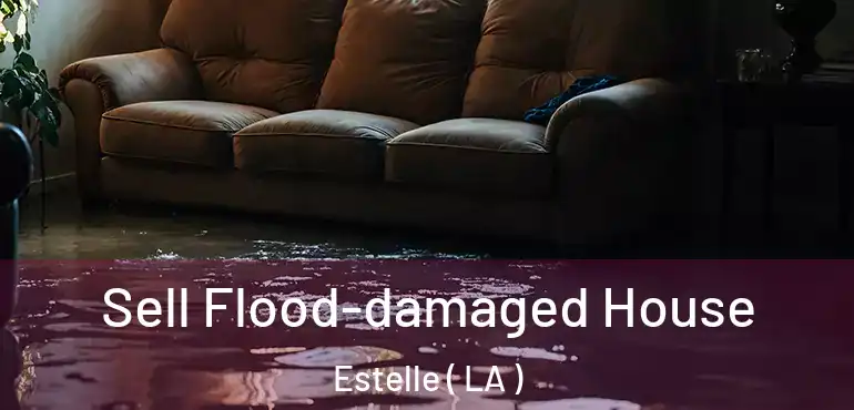  Sell Flood-damaged House Estelle ( LA )