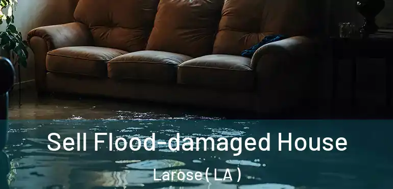  Sell Flood-damaged House Larose ( LA )