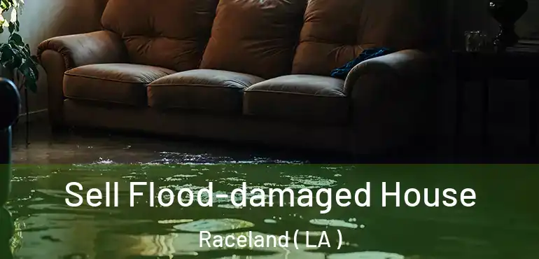  Sell Flood-damaged House Raceland ( LA )