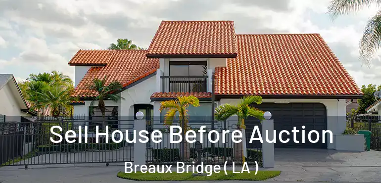  Sell House Before Auction Breaux Bridge ( LA )