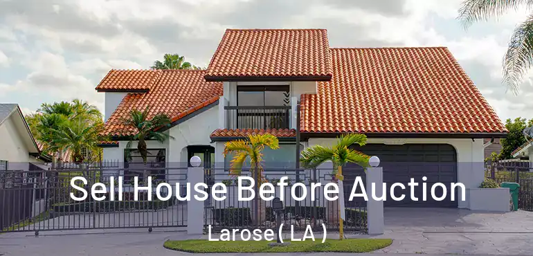  Sell House Before Auction Larose ( LA )