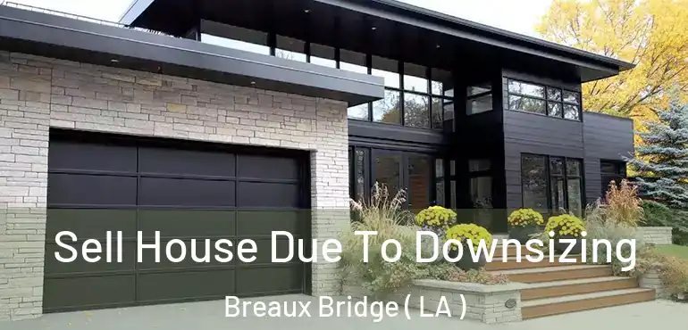  Sell House Due To Downsizing Breaux Bridge ( LA )