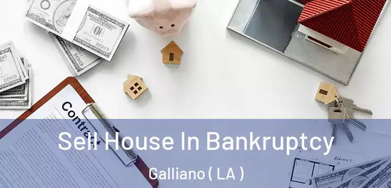  Sell House In Bankruptcy Galliano ( LA )