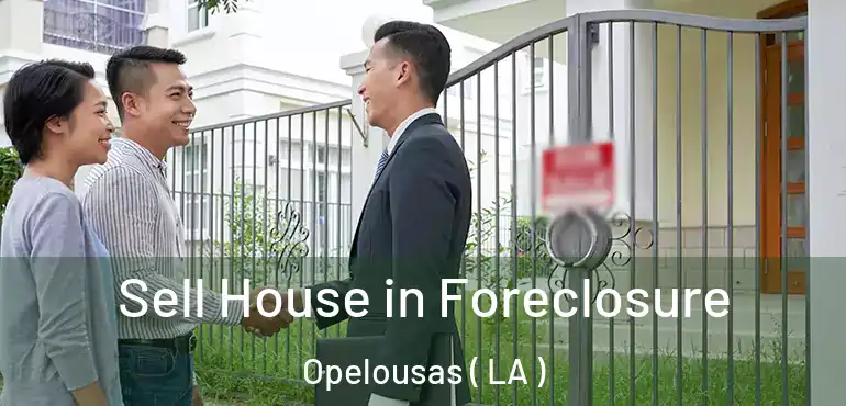  Sell House in Foreclosure Opelousas ( LA )