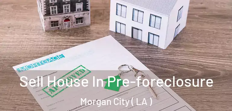  Sell House In Pre-foreclosure Morgan City ( LA )