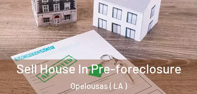  Sell House In Pre-foreclosure Opelousas ( LA )