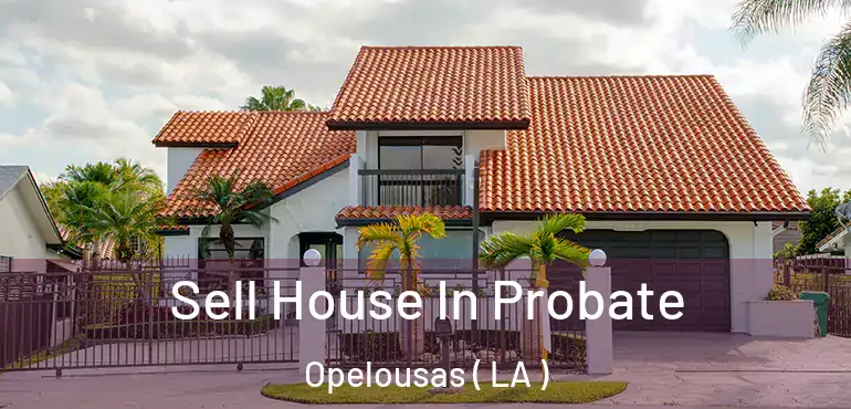  Sell House In Probate Opelousas ( LA )