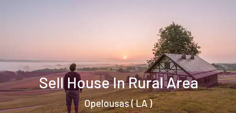  Sell House In Rural Area Opelousas ( LA )