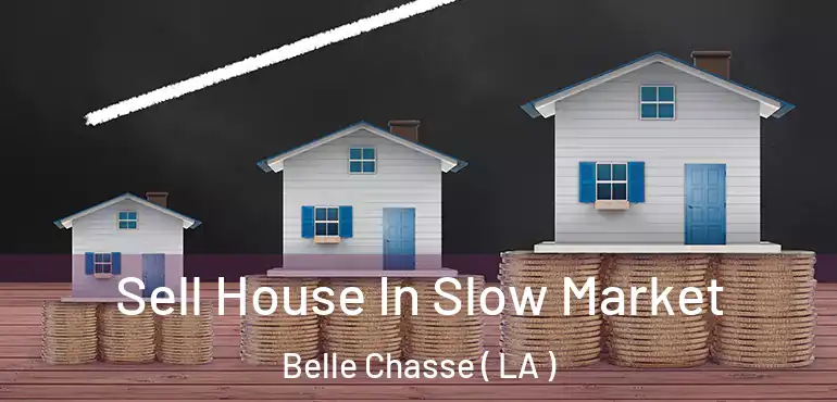  Sell House In Slow Market Belle Chasse ( LA )