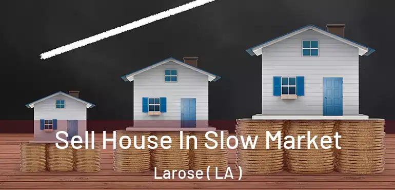  Sell House In Slow Market Larose ( LA )
