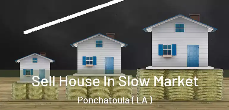  Sell House In Slow Market Ponchatoula ( LA )