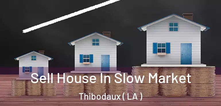  Sell House In Slow Market Thibodaux ( LA )
