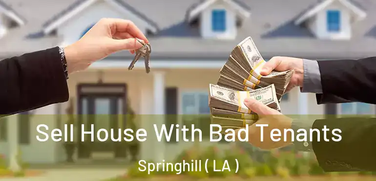  Sell House With Bad Tenants Springhill ( LA )