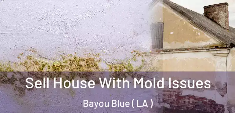  Sell House With Mold Issues Bayou Blue ( LA )