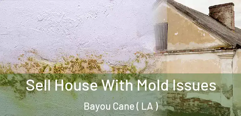  Sell House With Mold Issues Bayou Cane ( LA )