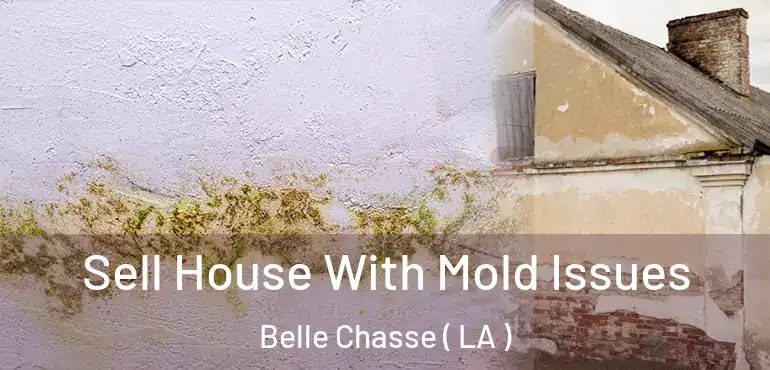 Sell House With Mold Issues Belle Chasse ( LA )