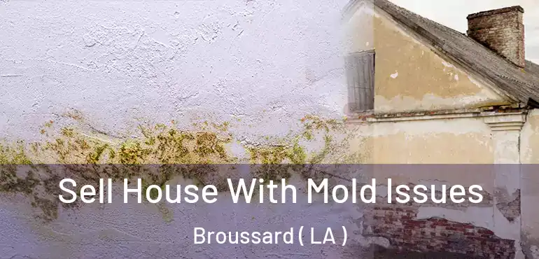  Sell House With Mold Issues Broussard ( LA )