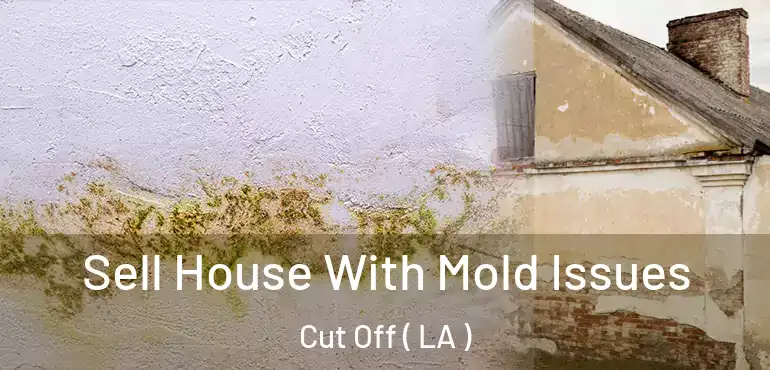  Sell House With Mold Issues Cut Off ( LA )