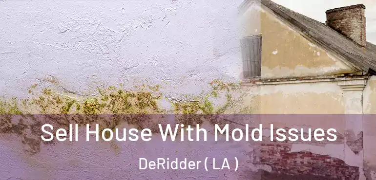  Sell House With Mold Issues DeRidder ( LA )