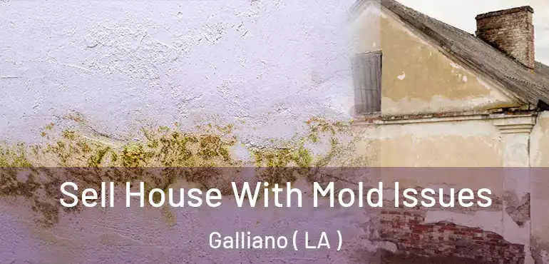  Sell House With Mold Issues Galliano ( LA )