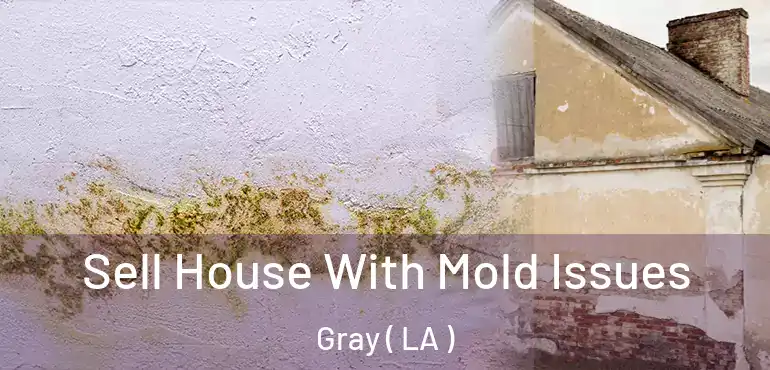  Sell House With Mold Issues Gray ( LA )