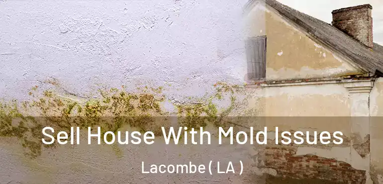 Sell House With Mold Issues Lacombe ( LA )
