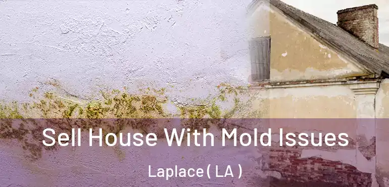  Sell House With Mold Issues Laplace ( LA )