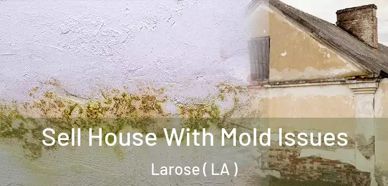  Sell House With Mold Issues Larose ( LA )