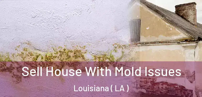  Sell House With Mold Issues Louisiana ( LA )