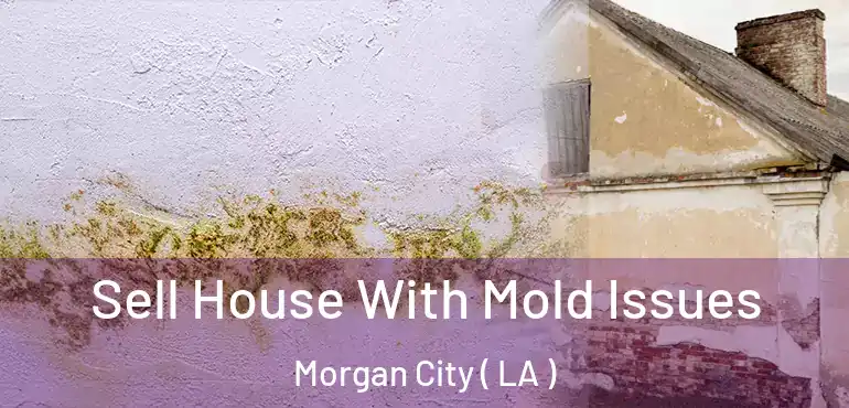  Sell House With Mold Issues Morgan City ( LA )