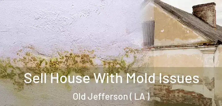  Sell House With Mold Issues Old Jefferson ( LA )