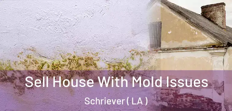  Sell House With Mold Issues Schriever ( LA )