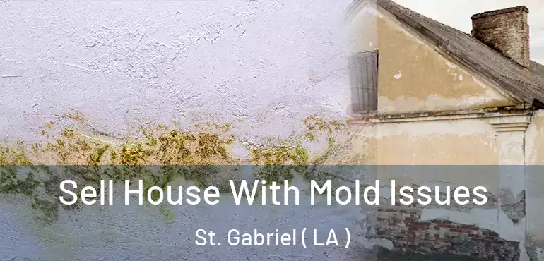  Sell House With Mold Issues St. Gabriel ( LA )