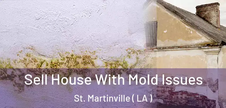  Sell House With Mold Issues St. Martinville ( LA )