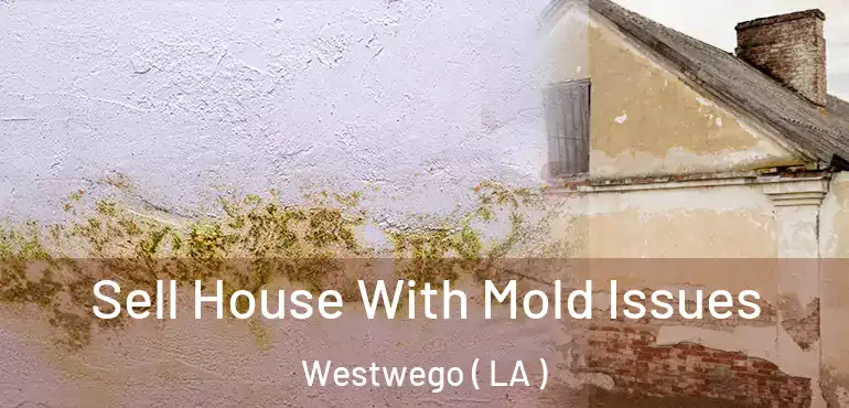  Sell House With Mold Issues Westwego ( LA )
