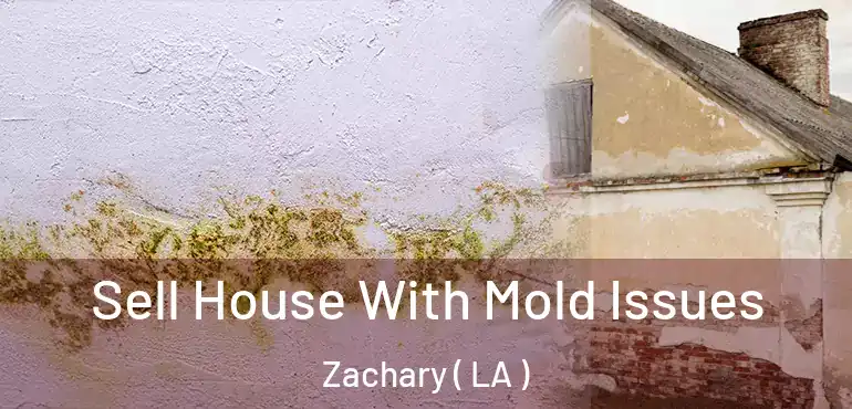  Sell House With Mold Issues Zachary ( LA )